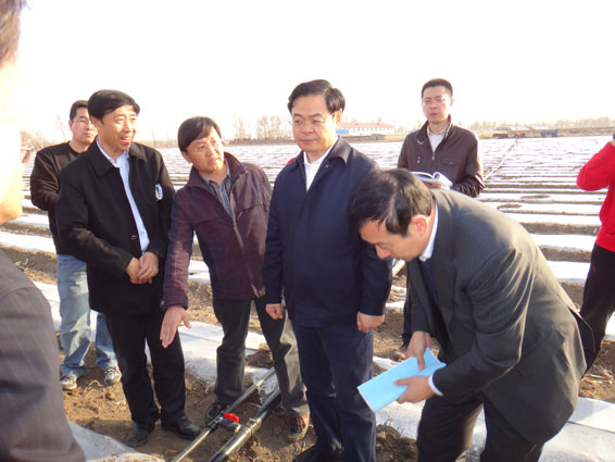 DSC00028 问鼎娱乐app(中国)官网下载入口