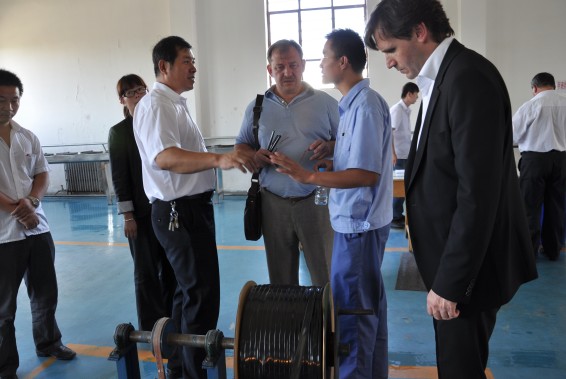 conew_dsc_0283 问鼎娱乐app(中国)官网下载入口