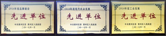 20170121154248316