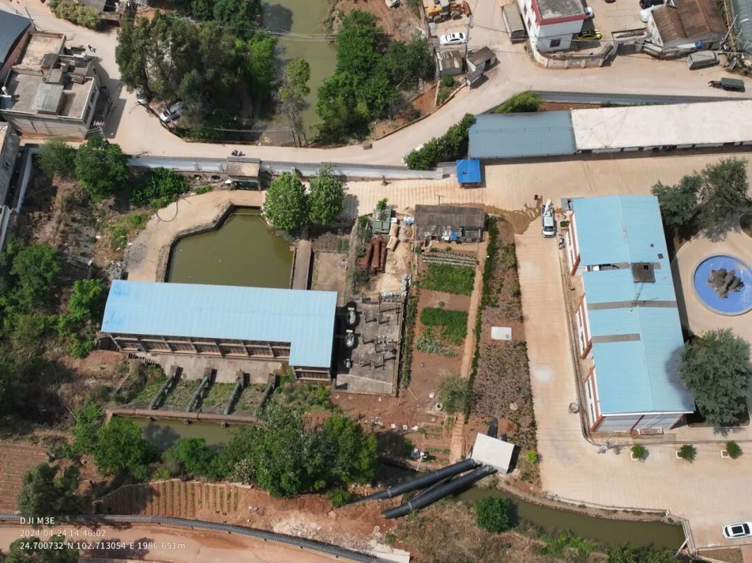 202602051770266485886400 202602051770266485886400
