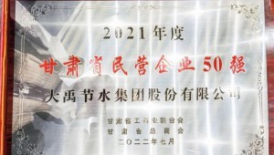 2022年7月4日问鼎娱乐app节水集团荣获2021年度甘肃省民营企业50强