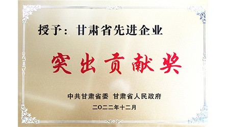 甘肃省先进企业凸起贡献奖