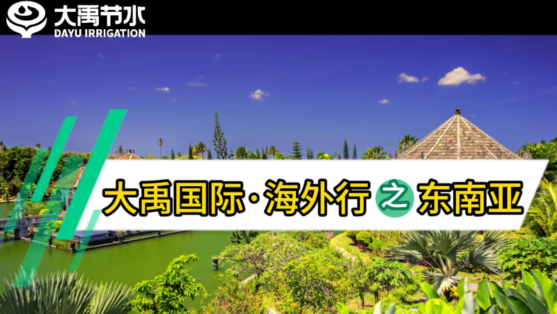 问鼎娱乐app国际海表行之东南亚