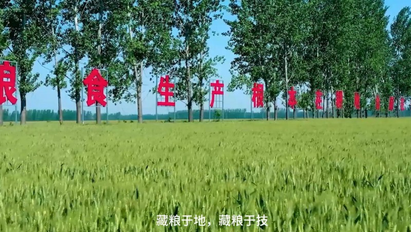 问鼎娱乐app节水：破解高尺度农田建设难题，扛牢粮食安全沉担，以科技与责任交出了一份创新答卷。