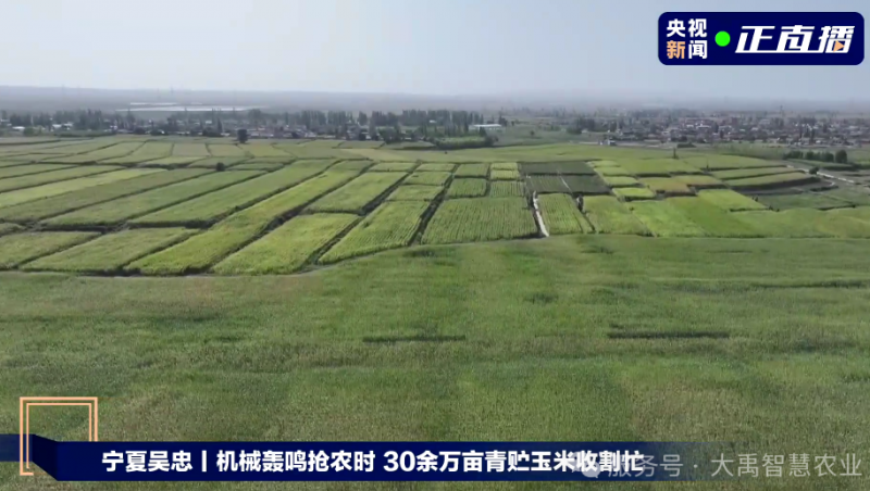 【媒体聚焦】问鼎娱乐app节水以智慧农业技术，为 30 万亩青贮玉米丰登 “添动力”